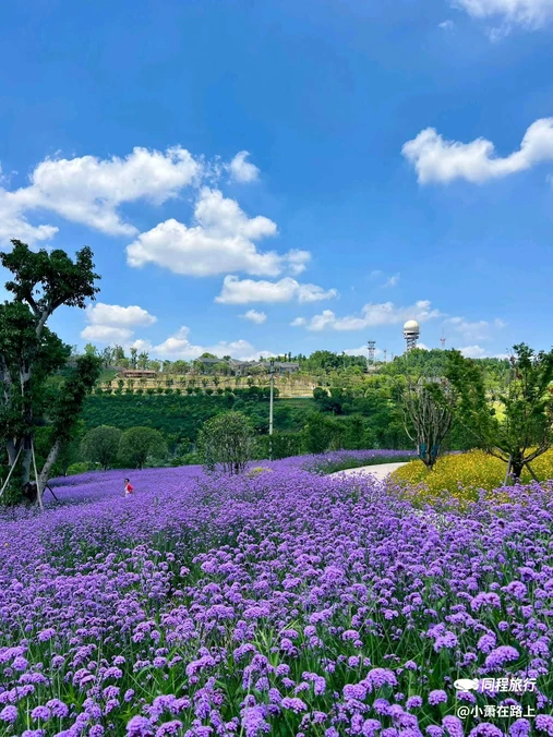 鹿山公园 - 重庆市旅游