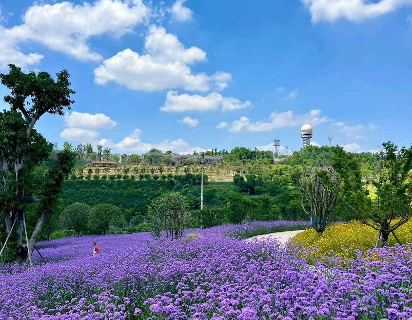 鹿山公园 - 重庆市旅游 1