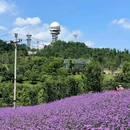 鹿山公园 - 重庆市旅游 缩略图 2