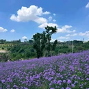 鹿山公园 - 重庆市旅游 缩略图 8