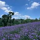 鹿山公园 - 重庆市旅游 缩略图 9
