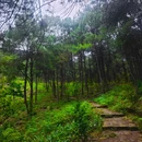 铁山坪广场 - 重庆市旅游 缩略图 3