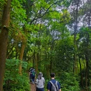 铁山坪广场 - 重庆市旅游 缩略图 4