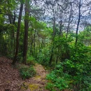 铁山坪广场 - 重庆市旅游 缩略图 6