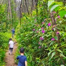 铁山坪广场 - 重庆市旅游 缩略图 9