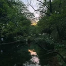 阳光谷旅游度假区 - 黔西南布依族苗族自治州旅游 缩略图 5