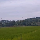 广渡村 - 衢州市旅游 缩略图 6