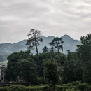 广渡村 - 衢州市旅游 缩略图 7