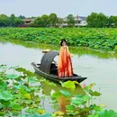 安西镇千亩荷塘 - 成都市旅游 缩略图 5
