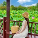 安西镇千亩荷塘 - 成都市旅游 缩略图 7