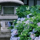 光明寺 - 眉山市旅游 缩略图 2