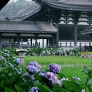 光明寺 - 眉山市旅游 缩略图 1