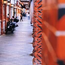 泉州开元寺 - 泉州市旅游 缩略图 8