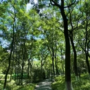 沙河公园 - 成都市旅游 缩略图 3