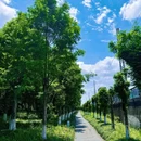 沙河公园 - 成都市旅游 缩略图 9