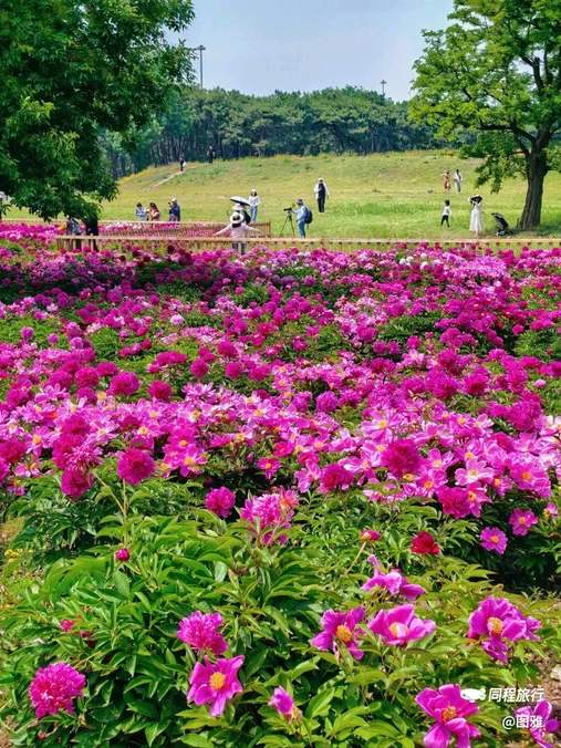 圆明园遗址公园 - 北京市旅游