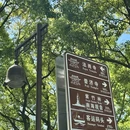 朱家尖悦庐套房酒店(舟山普陀区蜈蚣峙码头店) - 舟山市旅游 缩略图 5