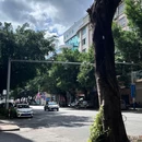 阳春麓枫美豪酒店 - 阳江市旅游 缩略图 1