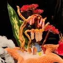 蟹犇前.帝王蟹雪蟹(陆家嘴店) - 上海市旅游 缩略图 2