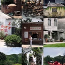 大墩村 - 佛山市旅游 缩略图 1