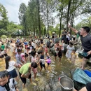 马帮寨·柳河水乡 - 成都市旅游 缩略图 6