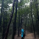 清水溪步道 - 重庆市旅游 缩略图 3