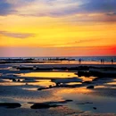 涠洲岛 - 北海市旅游 缩略图 6