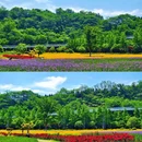 南湖丽景 - 杭州旅游 缩略图 1