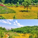 南湖丽景 - 杭州旅游 缩略图 5
