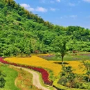 南湖丽景 - 杭州旅游 缩略图 4