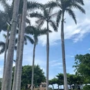 国药中服免税(三亚店) - 三亚市旅游 缩略图 4