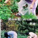 云孚里庄园·青城私汤度假别墅(都江堰青城后山店) - 成都市旅游 缩略图 5