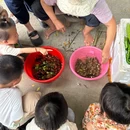 东涌绿道湿地公园驿站 - 广州旅游 缩略图 3
