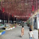 东涌绿道湿地公园驿站 - 广州旅游 缩略图 2