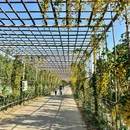 东涌绿道湿地公园驿站 - 广州旅游 缩略图 6