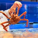 德悦海鲜·小江南(海威新界店) - 杭州市旅游 缩略图 9