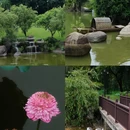 厦门悦华酒店 - 厦门旅游 缩略图 7
