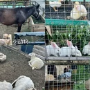 画廊里百里乡居闲山客栈(河东路分店) - 北京旅游 缩略图 8