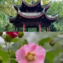 采石矶景区 - 马鞍山市旅游 缩略图 6