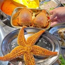 铁柱渔市海鲜档老火锅(东山西埔店) - 漳州市旅游 缩略图 8