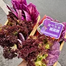 苗翠花凯里酸汤牛肉火锅(牛市口店) - 成都市旅游 缩略图 4