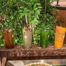 芸山季.云南野生菌火锅(杭州in77店) - 杭州市旅游 缩略图 9