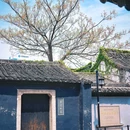 鲁迅故里景区 - 绍兴市旅游 缩略图 5