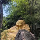 紫金山 - 南京市旅游 缩略图 7