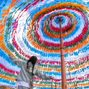 大经幡 - 迪庆藏族自治州旅游 缩略图 6