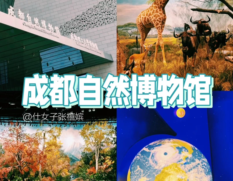 成都自然博物馆 - 成都市旅游 1