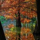 明孝陵景区-燕雀湖风景区 - 南京市旅游 缩略图 9