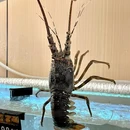 汕尾陆丰东海机动车驾驶人全科目考场 - 汕尾市旅游 缩略图 1