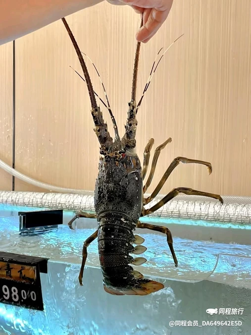汕尾陆丰东海机动车驾驶人全科目考场 - 汕尾市旅游