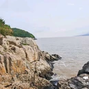 朱家尖悦庐套房酒店(舟山普陀区蜈蚣峙码头店) - 舟山市旅游 缩略图 8